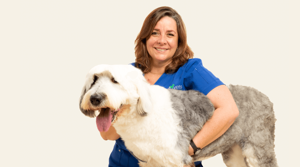 Consulta veterinaria virtual